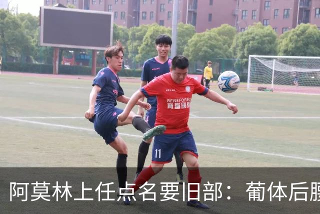 阿莫林上任点名要旧部：葡体后腰卖4500万，曼联放弃之人想转会