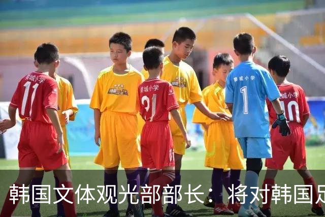 韩国文体观光部部长：将对韩国足协展开专项审计 成立调查委员会